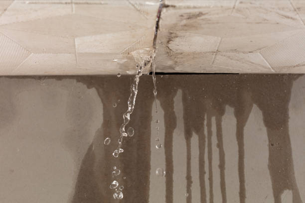 Professional Water Damage Restoration technician working in Greenwood, SC